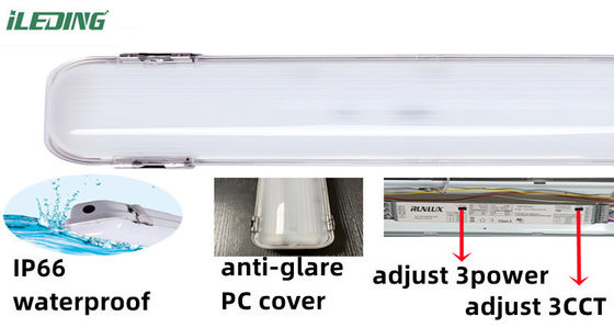 80 Ra LED vapor tight 2ft 3CCT Selectable LED vapor tight IP66 for Linkable Lighting