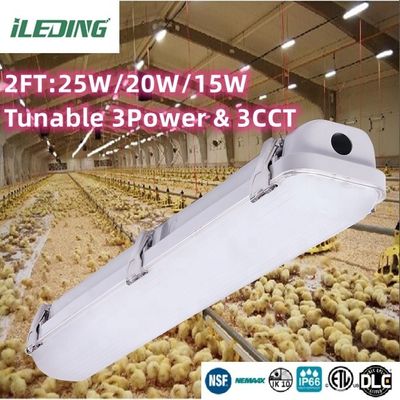 80 Ra LED vapor tight 2ft 3CCT Selectable LED vapor tight IP66 for Linkable Lighting