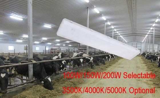 High Bay 200W 4FT LED Vapor Tight Waterproof Industrial Tri Proof Light Fixtures for Workshop