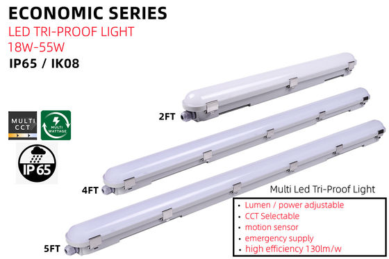 55W 80 Ra Car Washing LED Light with AC 110V Input Voltage Linear Vapor Tight Fixture