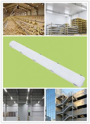 IP66 Waterproof Linear 65W Warehouse LED Vapor Tight Light Energy for Indoor Dairy Farm